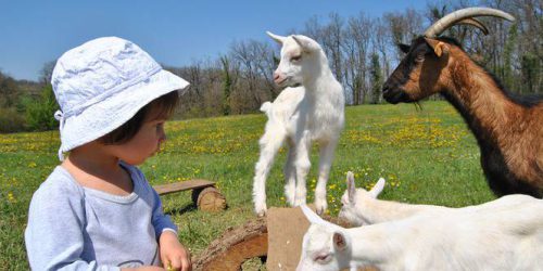 1523543457-812923697