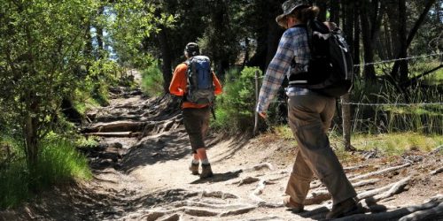 290165072_127867723263939_5842109449509722295_n